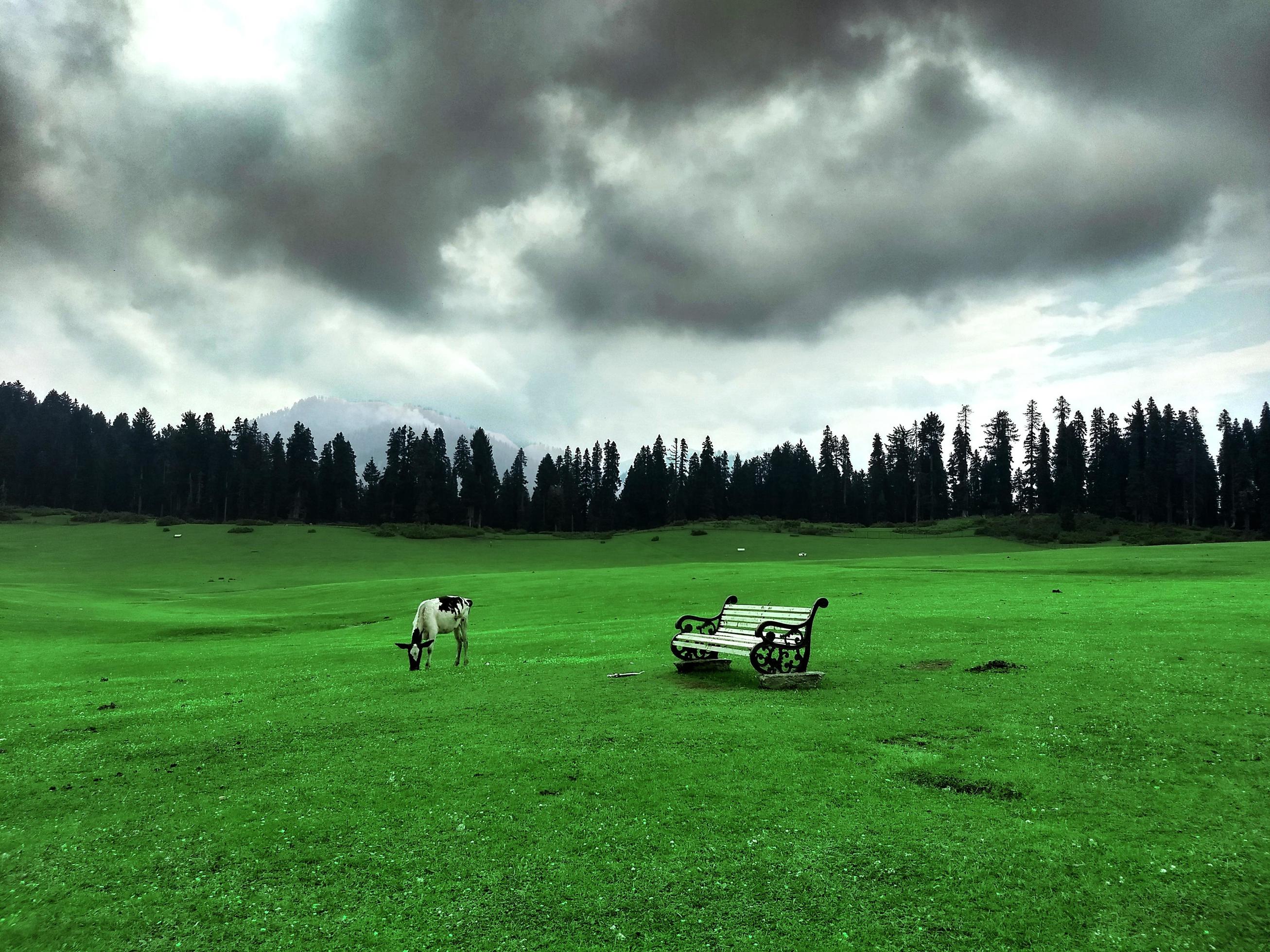 Srinagar-Kashmir 7 Days Tour Package